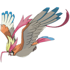mega PIDGEOT